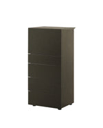 COG3 / Chest of 4 Drawers with Flap Door / Spessart Oak Structure + Mat Lacquered Moka LO49 Inner